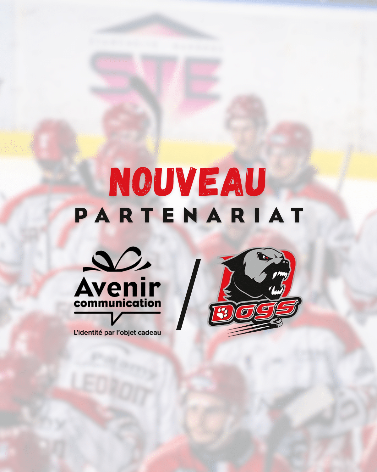 Avenir Communication, partenaire des Dogs de Cholet